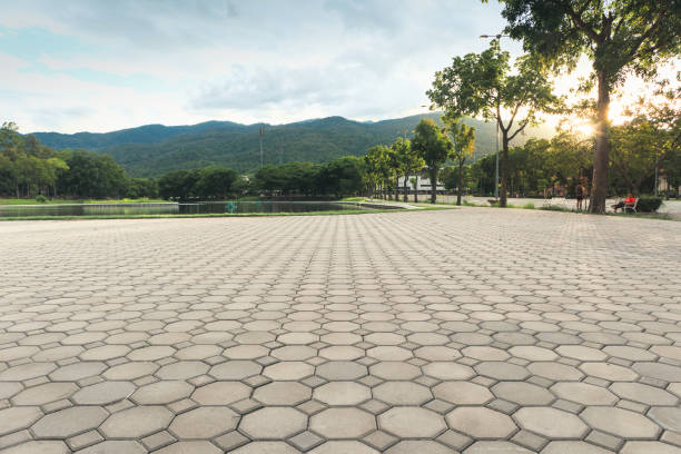 Best Residential Driveway Paver Services  in Hiawatha, KS